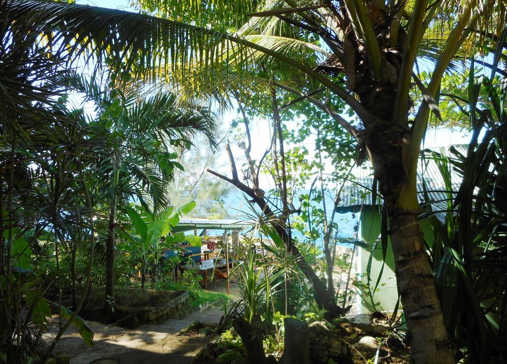 Banana Shout Resort Negril Extérieur photo