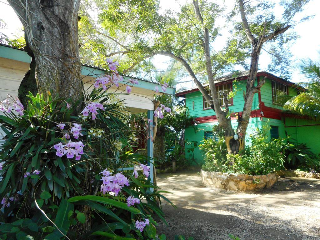 Banana Shout Resort Negril Extérieur photo