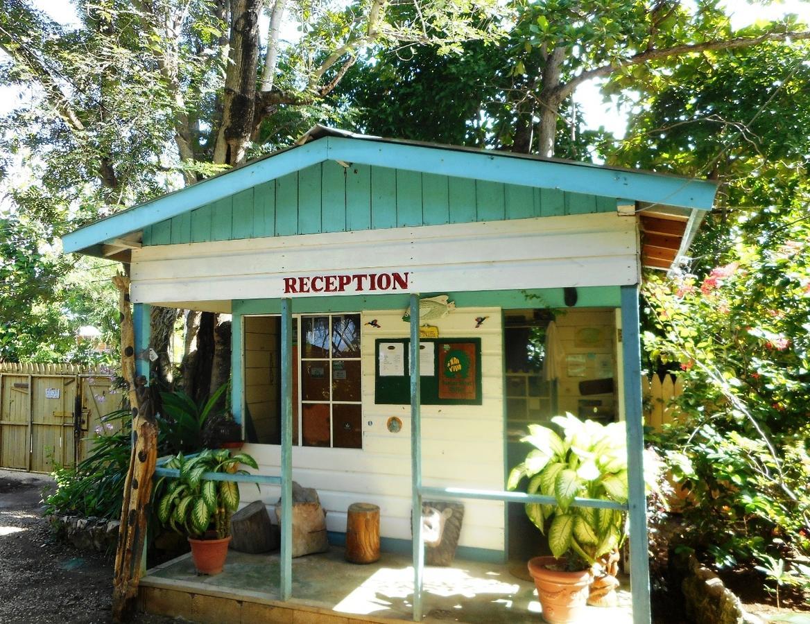 Banana Shout Resort Negril Extérieur photo